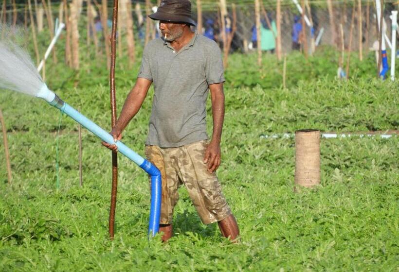 اتاق لوکس با بالکن, Karaa Village