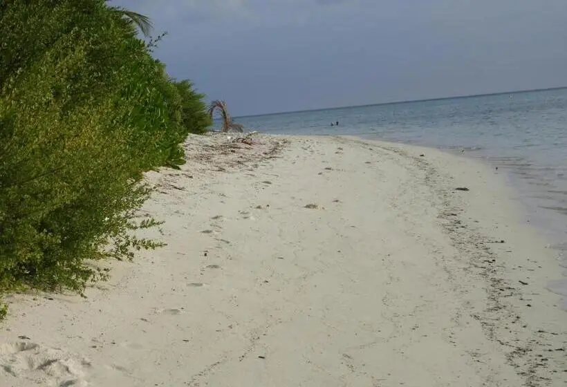 اتاق لوکس, Karaa Village