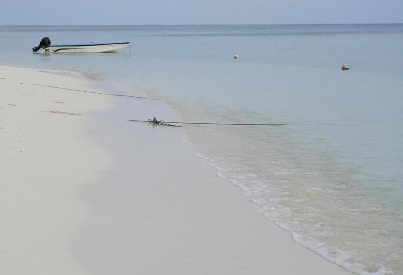 اتاق لوکس, Karaa Village