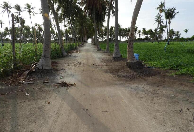 اتاق لوکس, Karaa Village