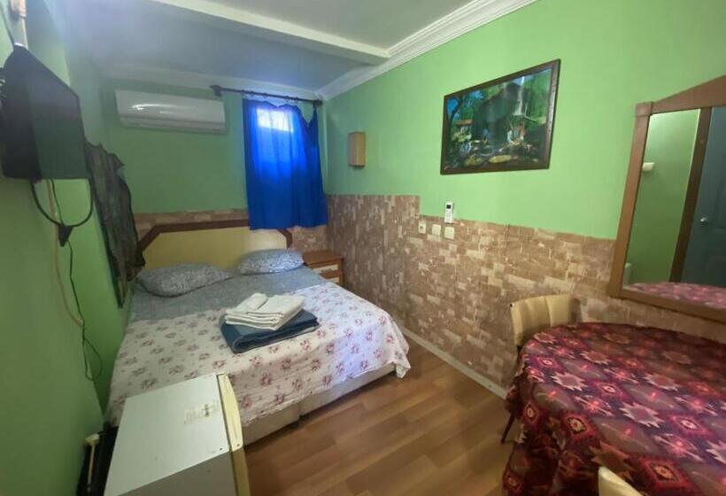 اتاق استاندارد, Camel Hotel & Apart