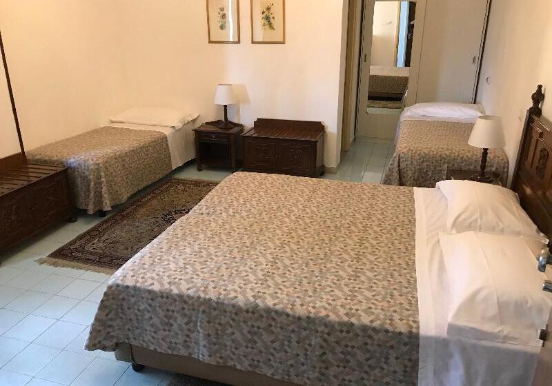 スタンダード４人部屋, Mediterranee