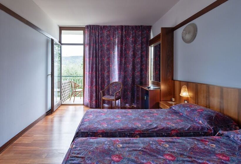 Номер Стандарт Вид на Бассейн, Park Hotel Oasi