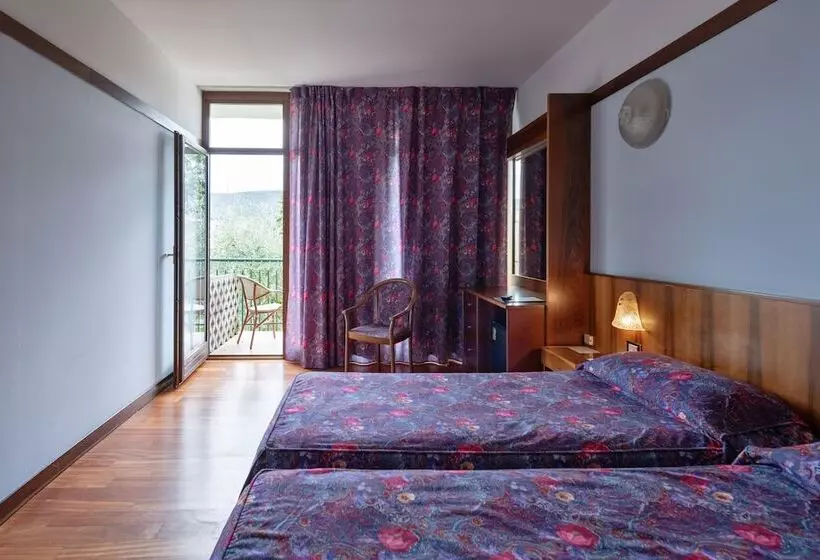 Standard-huone Allasnäkymä, Park Hotel Oasi