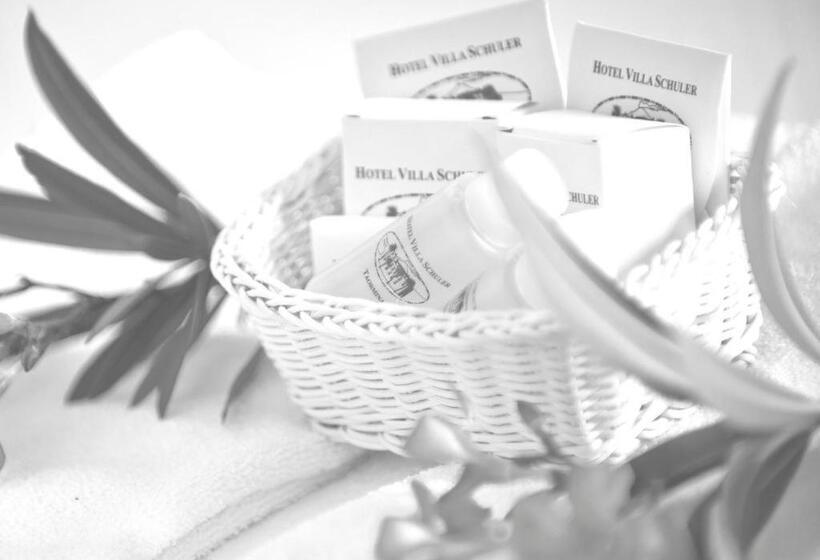 Camera Standard, Villa Schuler