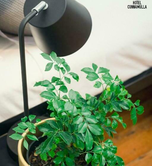 Номер Economy, Cunnamulla