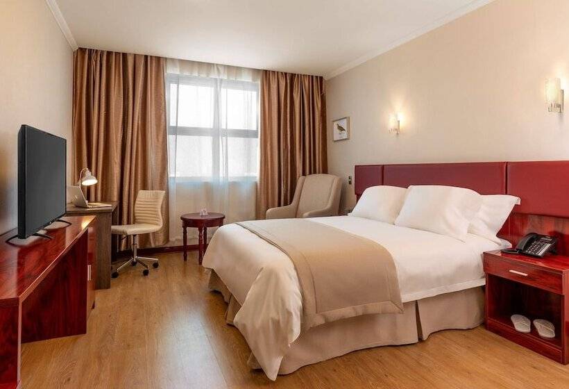 高级大房间, Nobile Hotel Estación Central