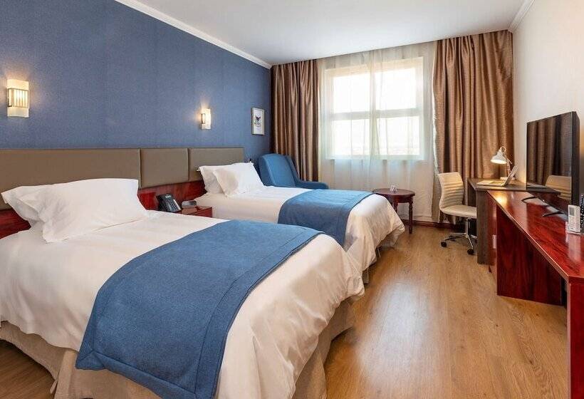 高级大房间, Nobile Hotel Estación Central