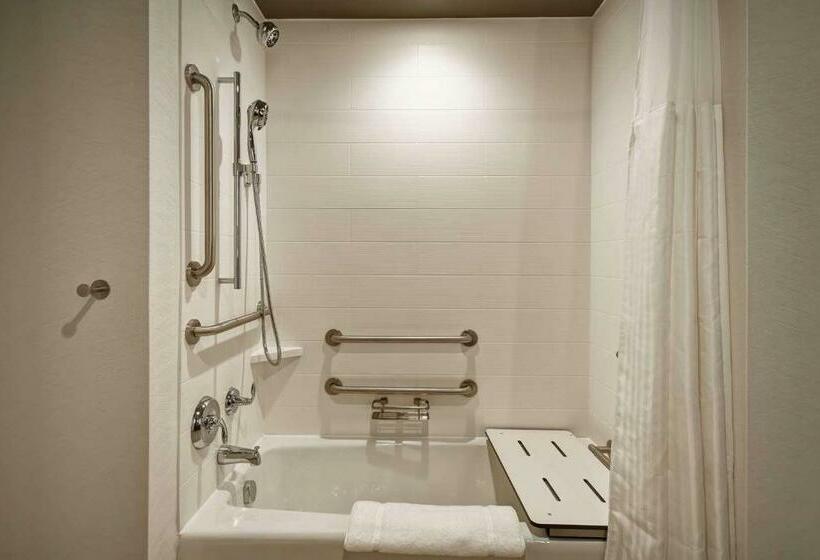Номер Стандарт Кровать Кинг Адаптированный для Инвалидов, Hilton Garden Inn Lansing West