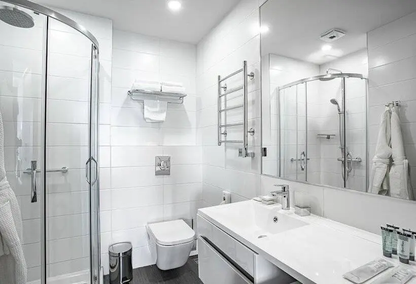 اتاق استاندارد, Ramada Hotel & Suites By Wyndham Novosibirsk Zhukovka