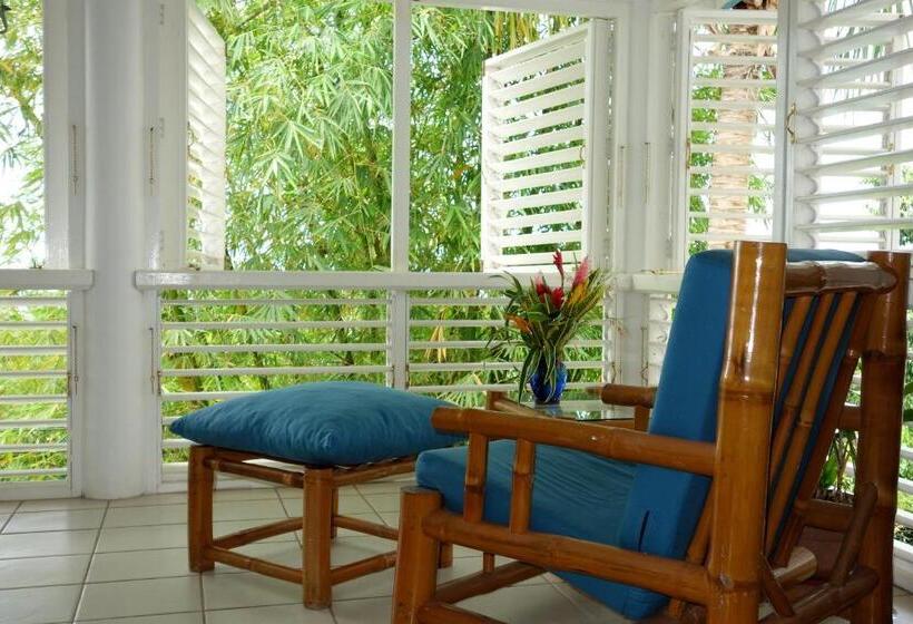 اتاق استاندارد با تخت دوبل و چشمانداز دریا, Mockingbird Hill