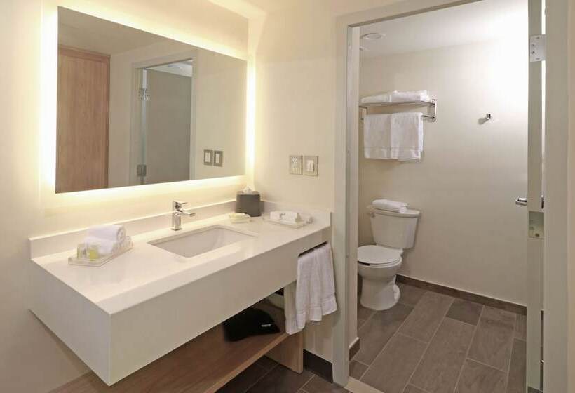 标准间, Holiday Inn   Ciudad Juarez, An Ihg