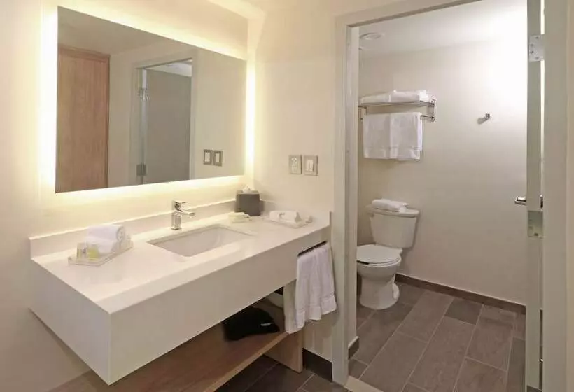 اتاق استاندارد, Holiday Inn   Ciudad Juarez, An Ihg