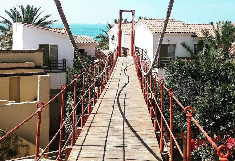 חדר סטנדרט, Festival Plaza Playas Rosarito