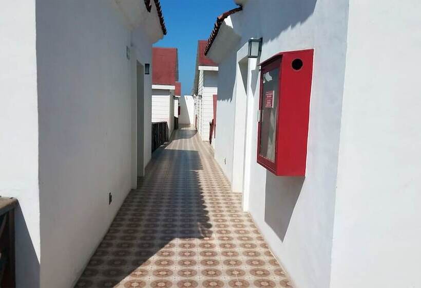 חדר סטנדרט, Festival Plaza Playas Rosarito