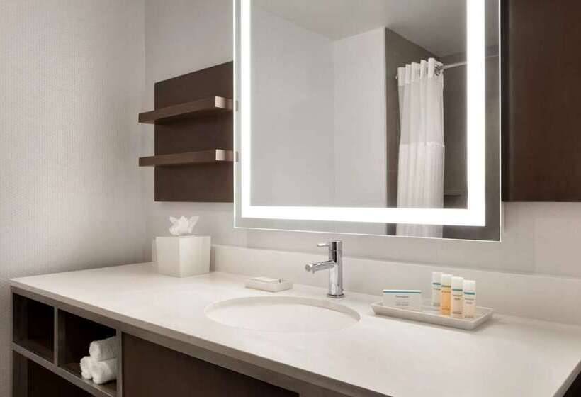 اتاق استاندارد با تخت بزرگ, Hilton San Luis Potosi