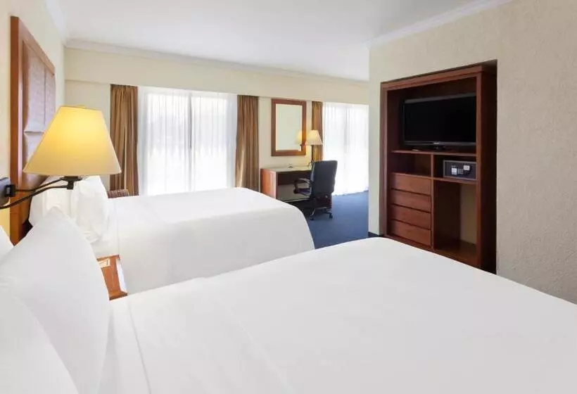 ジュニアスイート, Holiday Inn Express Oaxaca   Centro Historico, An Ihg