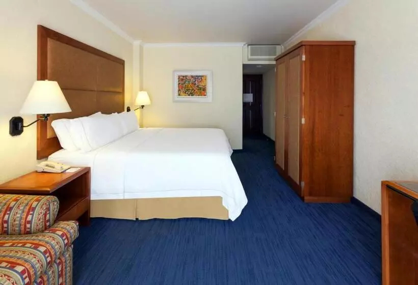 キングサイズベッドのスタンダードルーム, Holiday Inn Express Oaxaca   Centro Historico, An Ihg