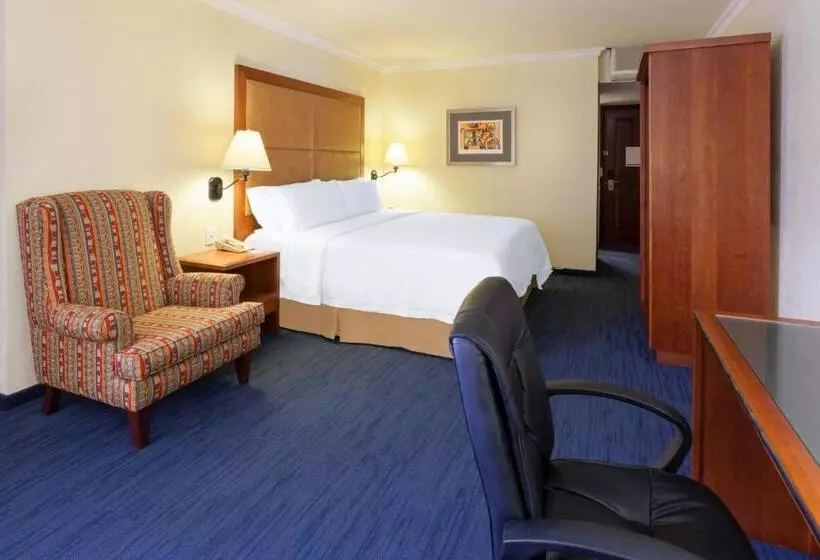キングサイズベッドのスタンダードルーム, Holiday Inn Express Oaxaca   Centro Historico, An Ihg