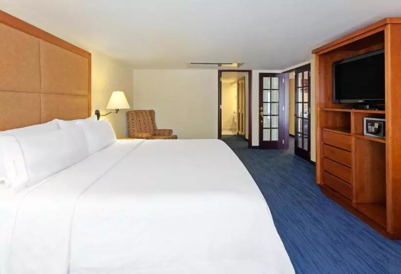 キングサイズベッドのスイートルーム, Holiday Inn Express Oaxaca   Centro Historico, An Ihg