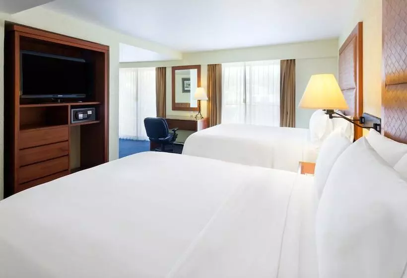 ２ダブルベッドのスタンダードルーム, Holiday Inn Express Oaxaca   Centro Historico, An Ihg