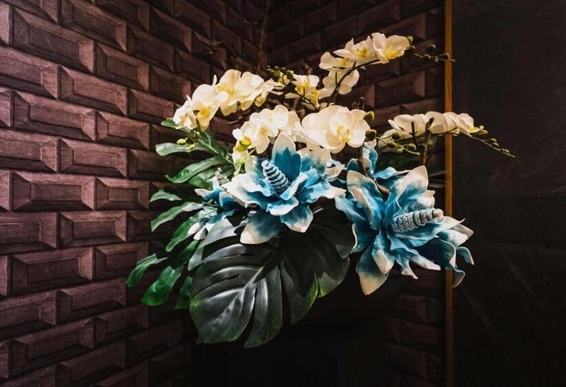 اتاق استاندارد, Aquarius Motel