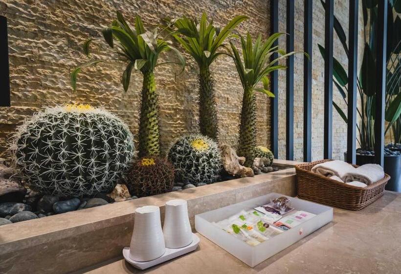 اتاق لوکس, Aquarius Motel