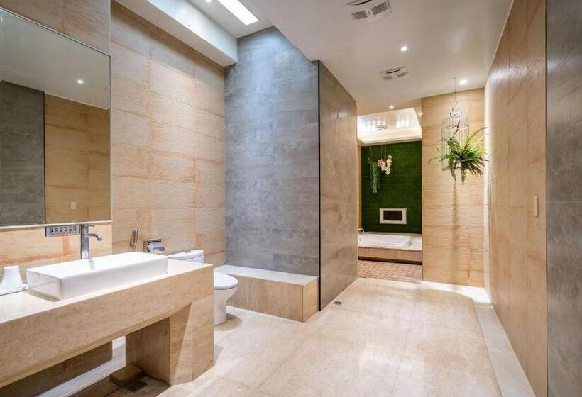 اتاق سوپریور, Aquarius Motel