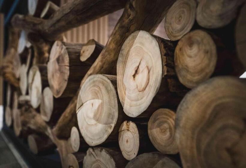 اتاق سوپریور, Aquarius Motel