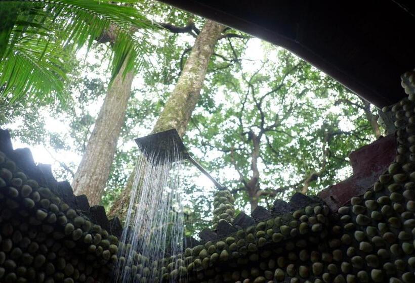 سوئیت جونیور با چشمانداز باغ, Bamboo Bungalows