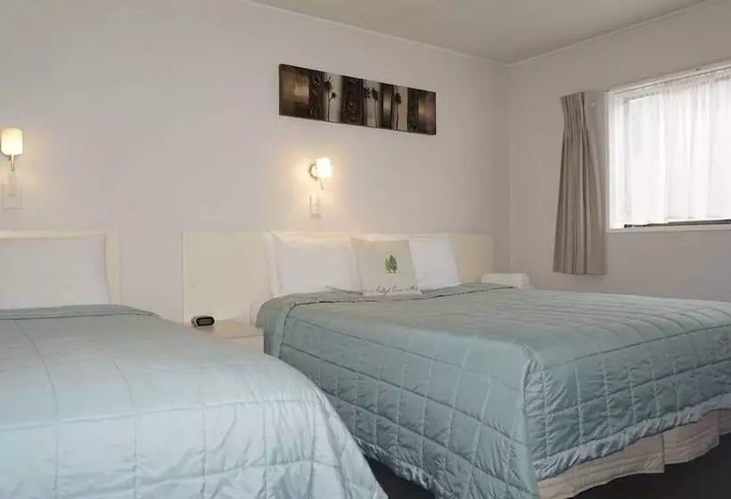 １ベッドルームアパートメント, Ashleigh Court Motel Christchurch Hagley Park
