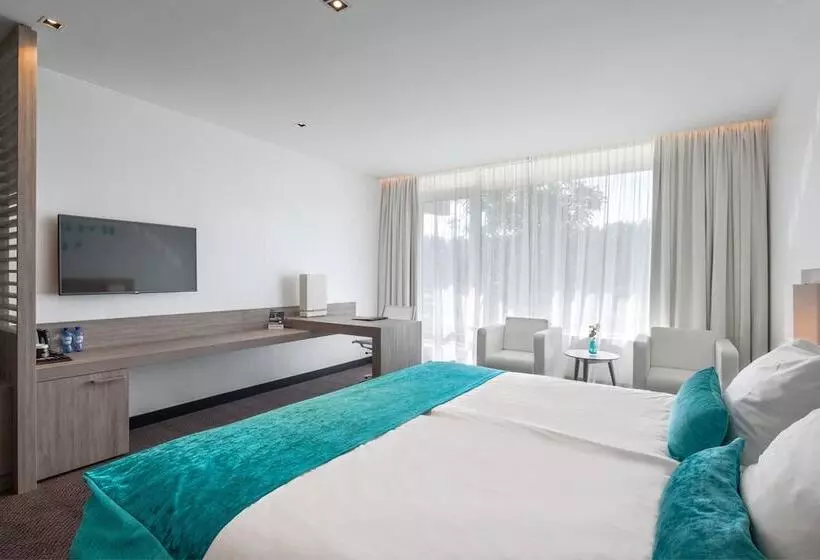 バルコニー付きデラックスルーム, Van Der Valk Hotel Vianen   Utrecht
