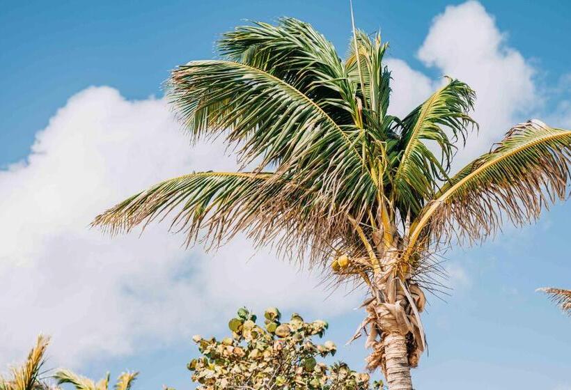 ویلای 1 خوابه با چشمانداز دریا, Sorobon Luxury Beach Resort