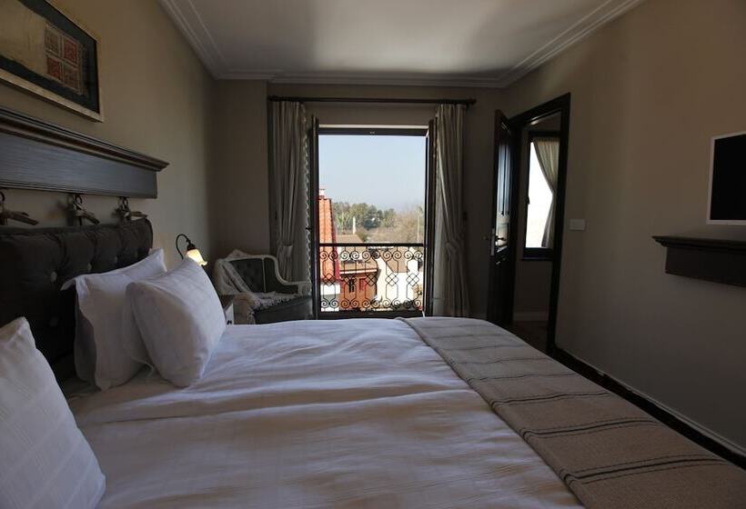 Номер Deluxe Вид на Город, Akanthus Hotel Ephesus