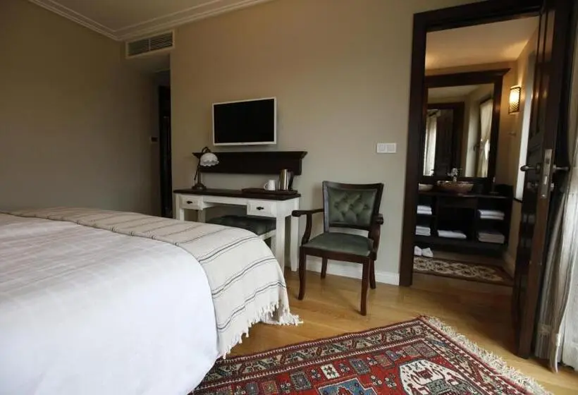 Deluxe-huone Kaupunkinäkymä, Akanthus Hotel Ephesus