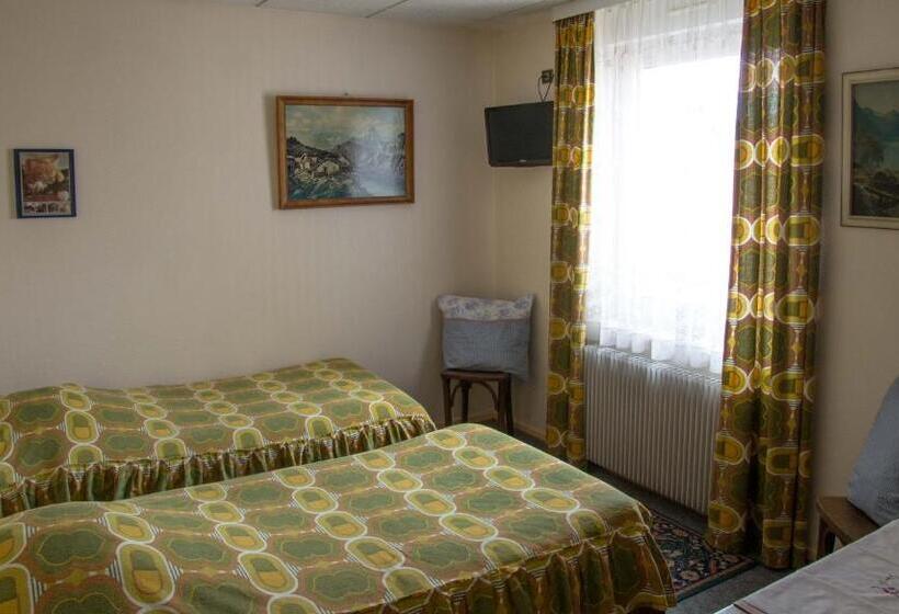 スタンダードルーム, Hôtel De Bâle