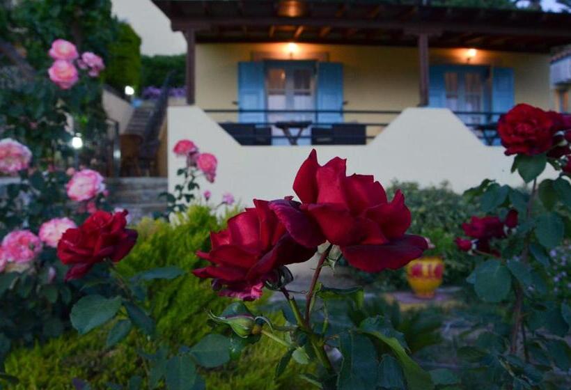 استودیوی استاندارد با چشم‌انداز دریا, Dina   ξενοδοχείο ντινα