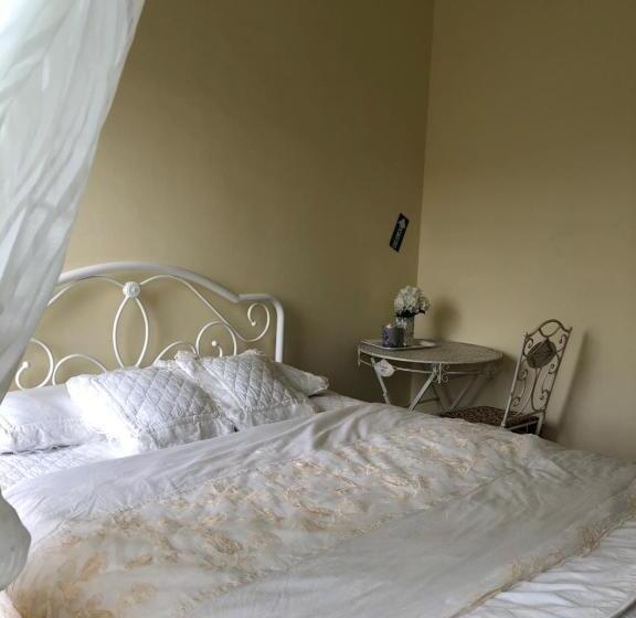 Номер Стандарт, Aam