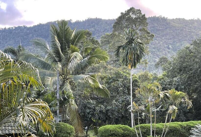 Standard Szoba King Size Bed, Marilyn’s Resort Koh Samui