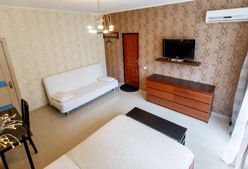 スタンダードトリプルルーム, Amosov S House