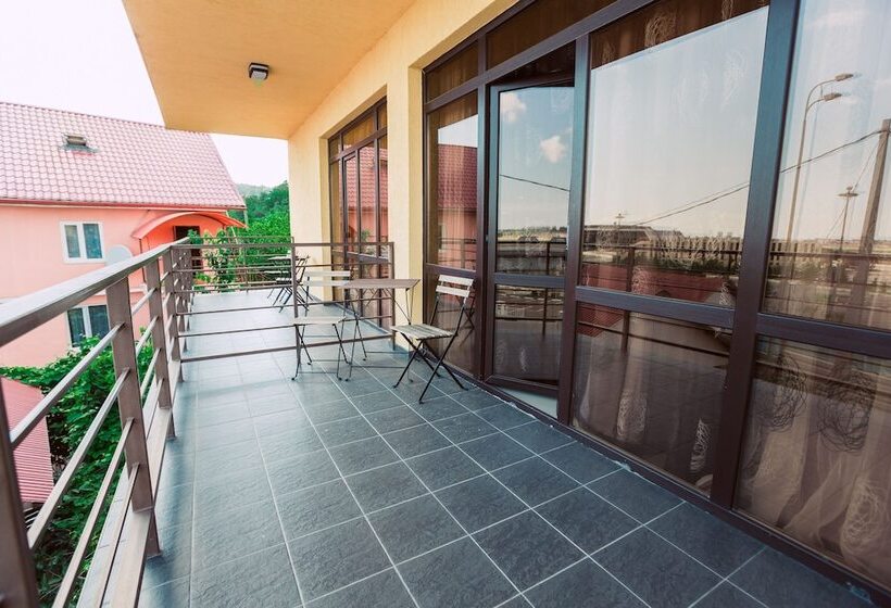 اتاق استاندارد, Amosov S House