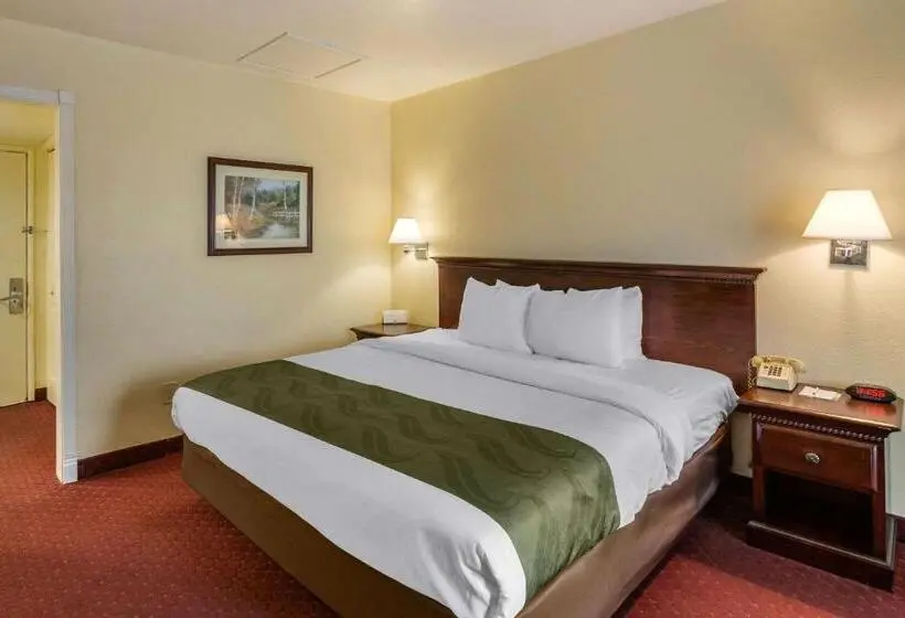 キングサイズベッドのスタンダードルーム, Quality Inn & Suites El Cajon San Diego East