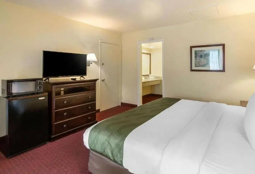 キングサイズベッドのスタンダードルーム, Quality Inn & Suites El Cajon San Diego East