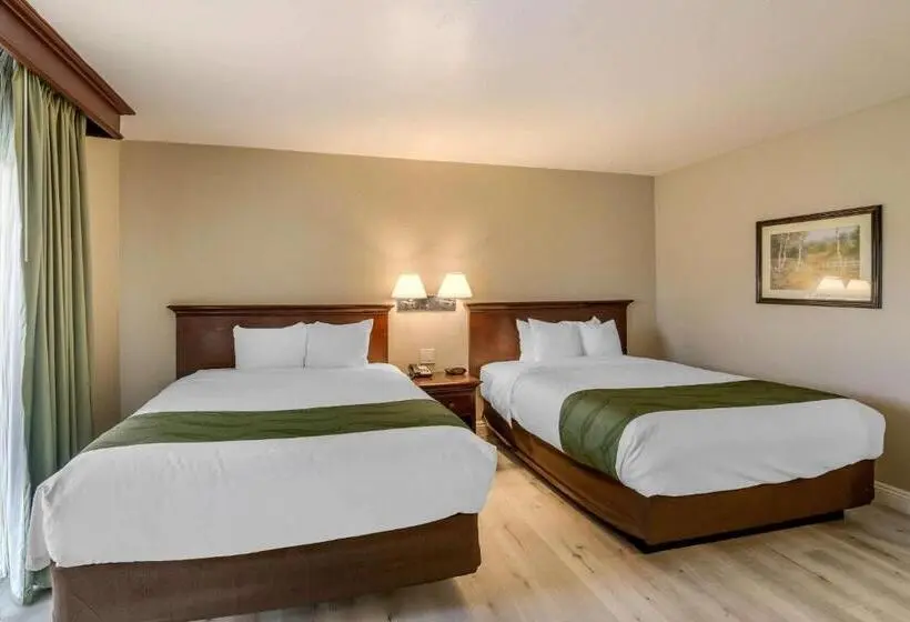 スタンダードルーム, Quality Inn & Suites El Cajon San Diego East