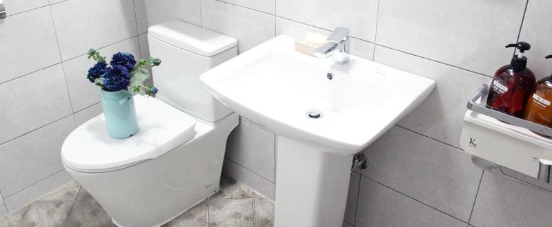 Camera Standard, Ciel Mini