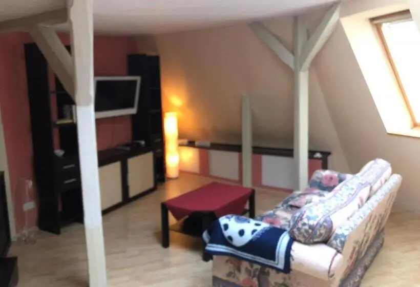 ガーデンビューのスタンダードワンルーム, Parkschlösschen In Greiz