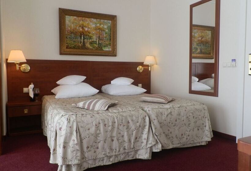 コンフォートルーム, Willa Alexander Resort & Spa Caloroczny Kryty Basen