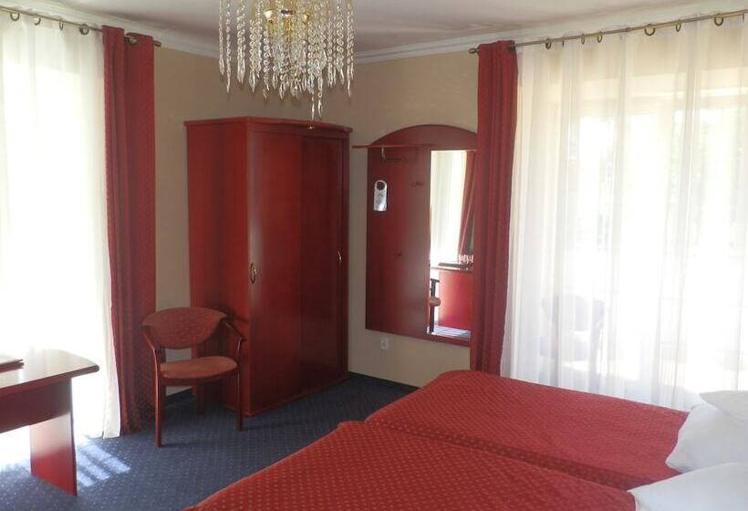 スタンダードルーム, Willa Alexander Resort & Spa Caloroczny Kryty Basen