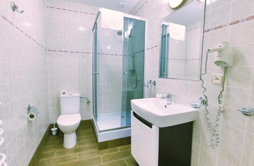 スタンダードルーム, Willa Alexander Resort & Spa Caloroczny Kryty Basen