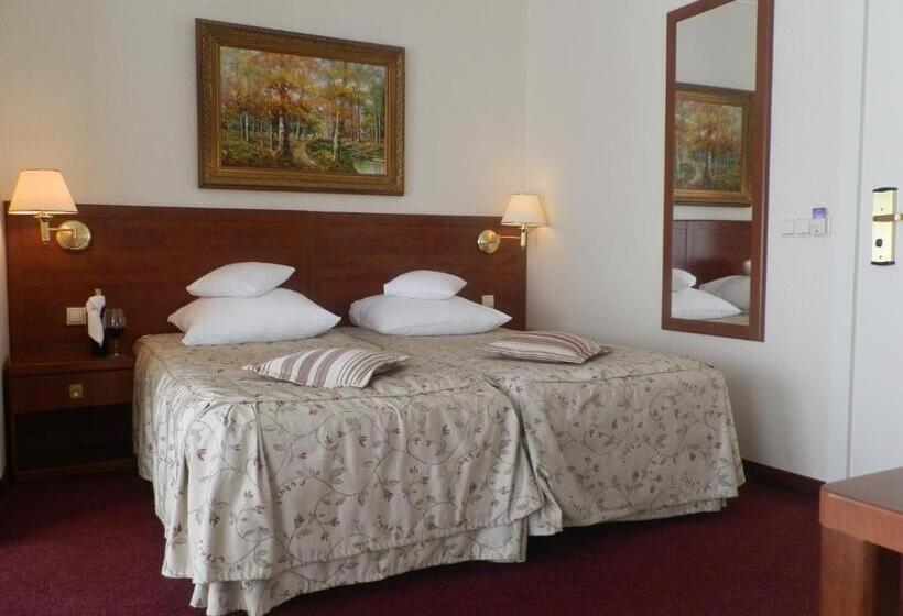 コンフォートルーム, Willa Alexander Resort & Spa Caloroczny Kryty Basen